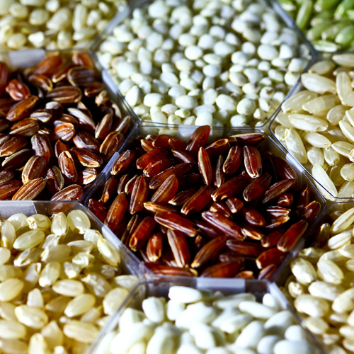M/S JAI TULSI RICE MILL PRIVATE LIMITED