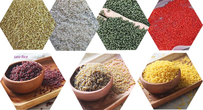 Fortified Nutritional Rice Processing Line Fortified Nutritional Rice Processing Line